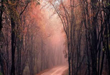 乐鱼app-Faker连续五场比赛得分超过反败为胜，RNG不断突破！上演精彩一战-乐鱼app